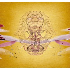 Devendra Banhart
