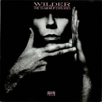 The-Teardrop-Explodes-Wilder