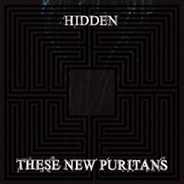these_new_puritans.jpg