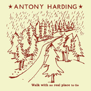 antony_harding_walk.jpg
