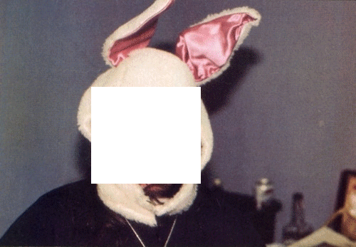 q5.gif